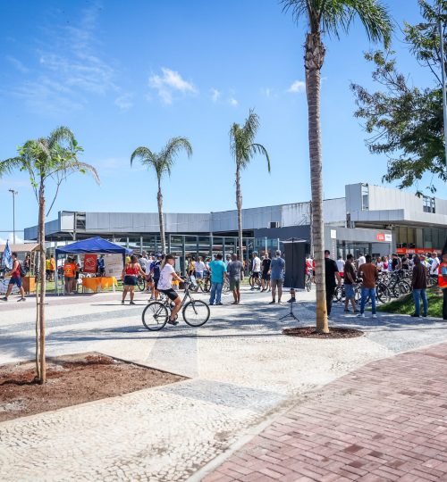 ROPI25BICICLETARIO2057