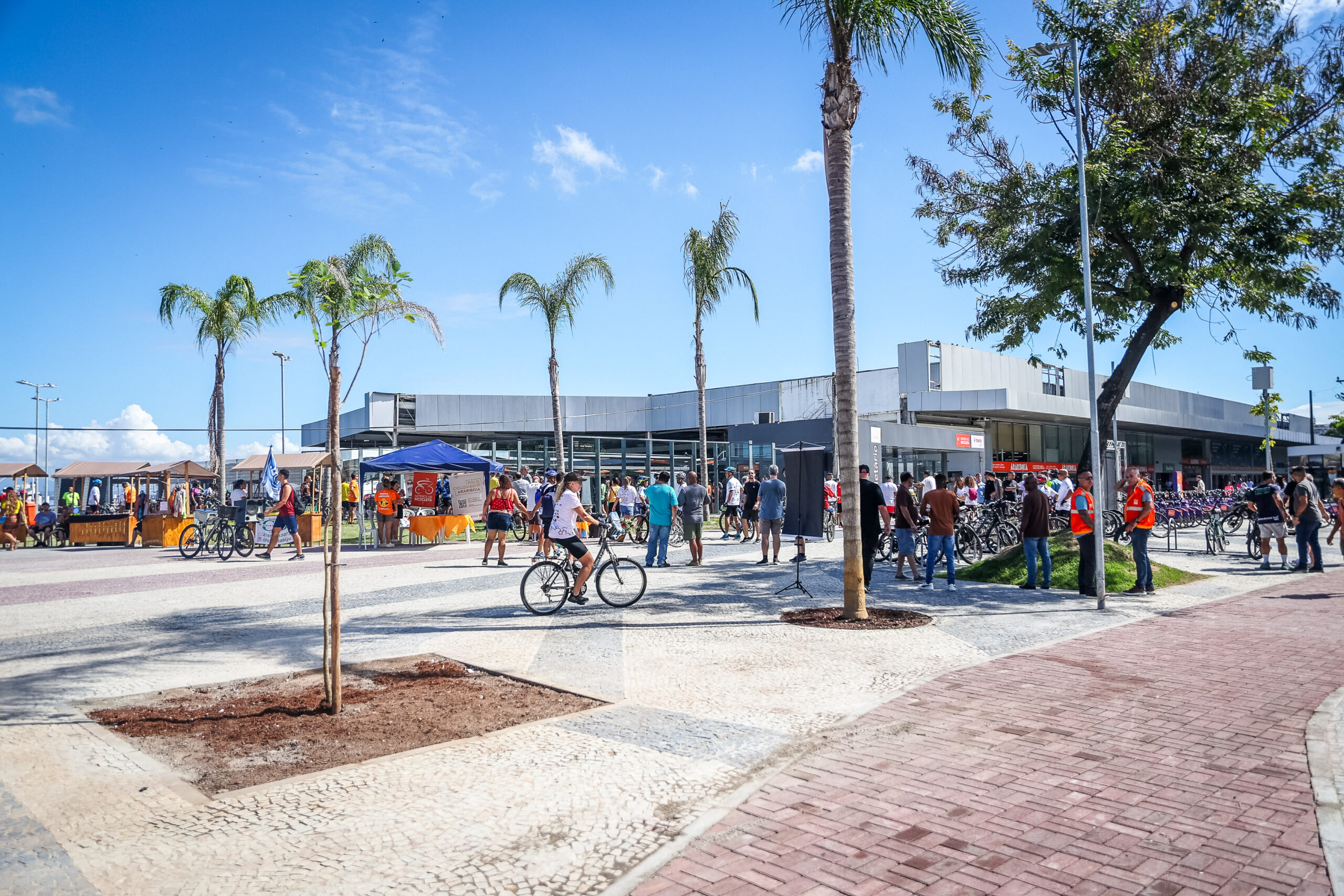 ROPI25BICICLETARIO2057 (1)
